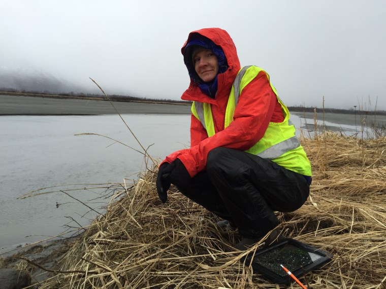 Alaska DOT&amp;PF's Marine Mammal Monitoring App