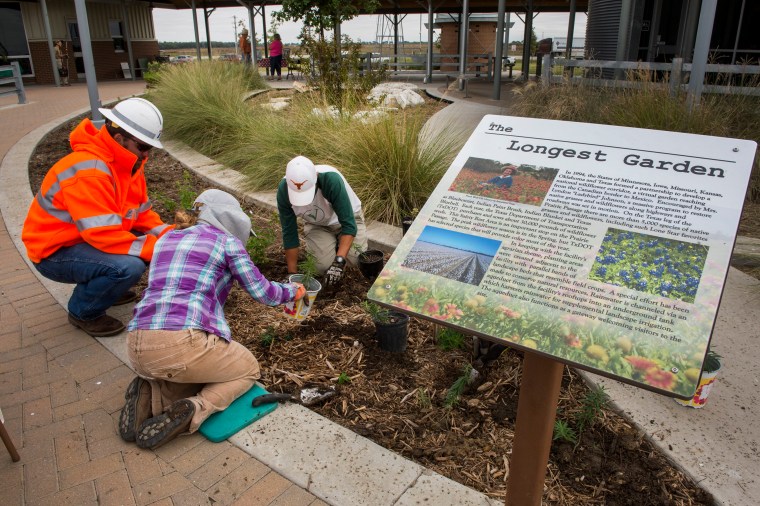 Planting at Rest Area